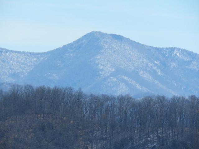 Serenity Views Comfort - Close To City & Parkway! Weaverville Esterno foto