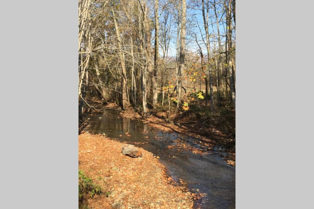 Serenity Views Comfort - Close To City & Parkway! Weaverville Esterno foto